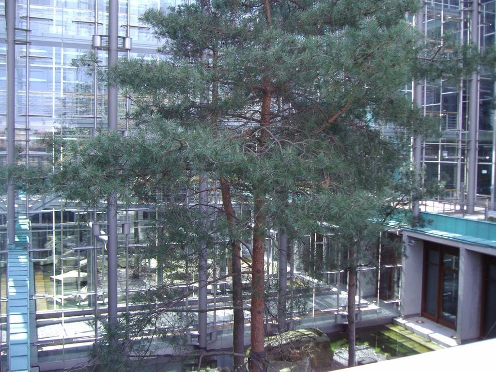 Moderne Wintergarten-Designs