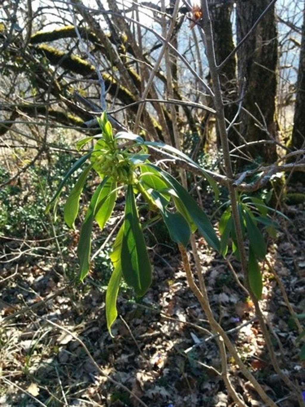 Wintergärten mit Wasserfeatures