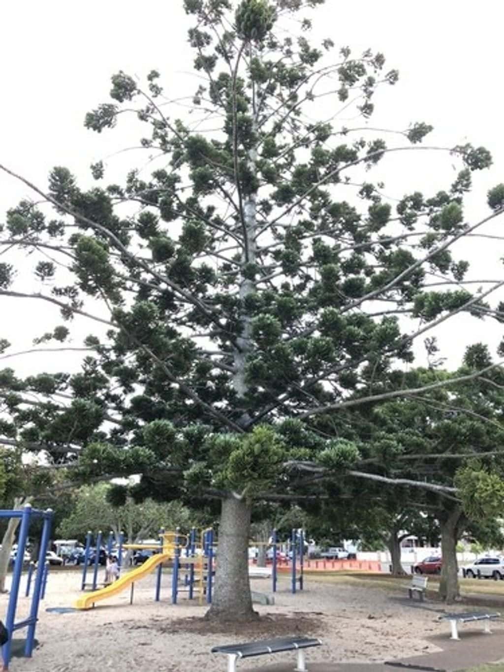 Wintergarten-Größen und -Formen