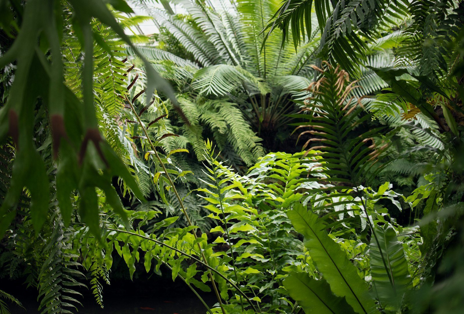 Wartung und Pflege von Wintergärten: Tipps zur Instandhaltung